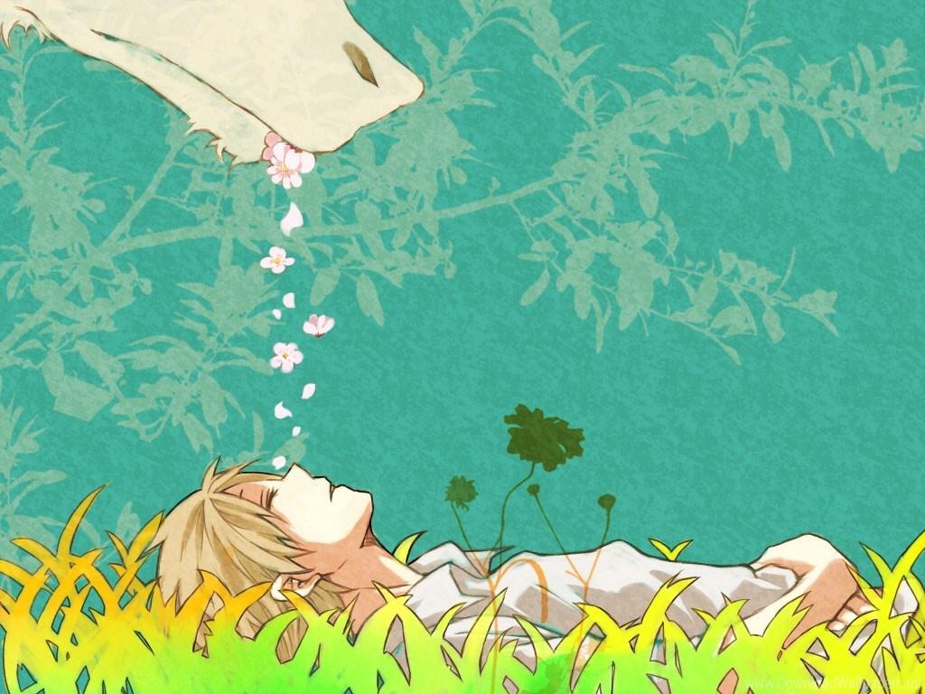 Natsume Yuujinchou Wallpapers