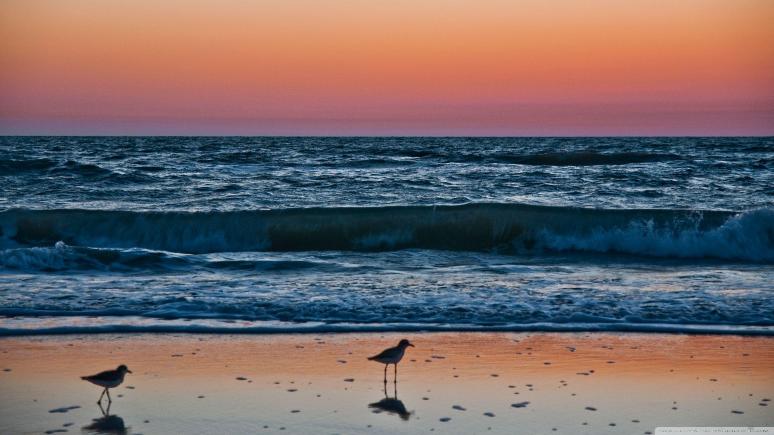 Sunset In Naples, Florida HD desktop wallpapers : Widescreen : High