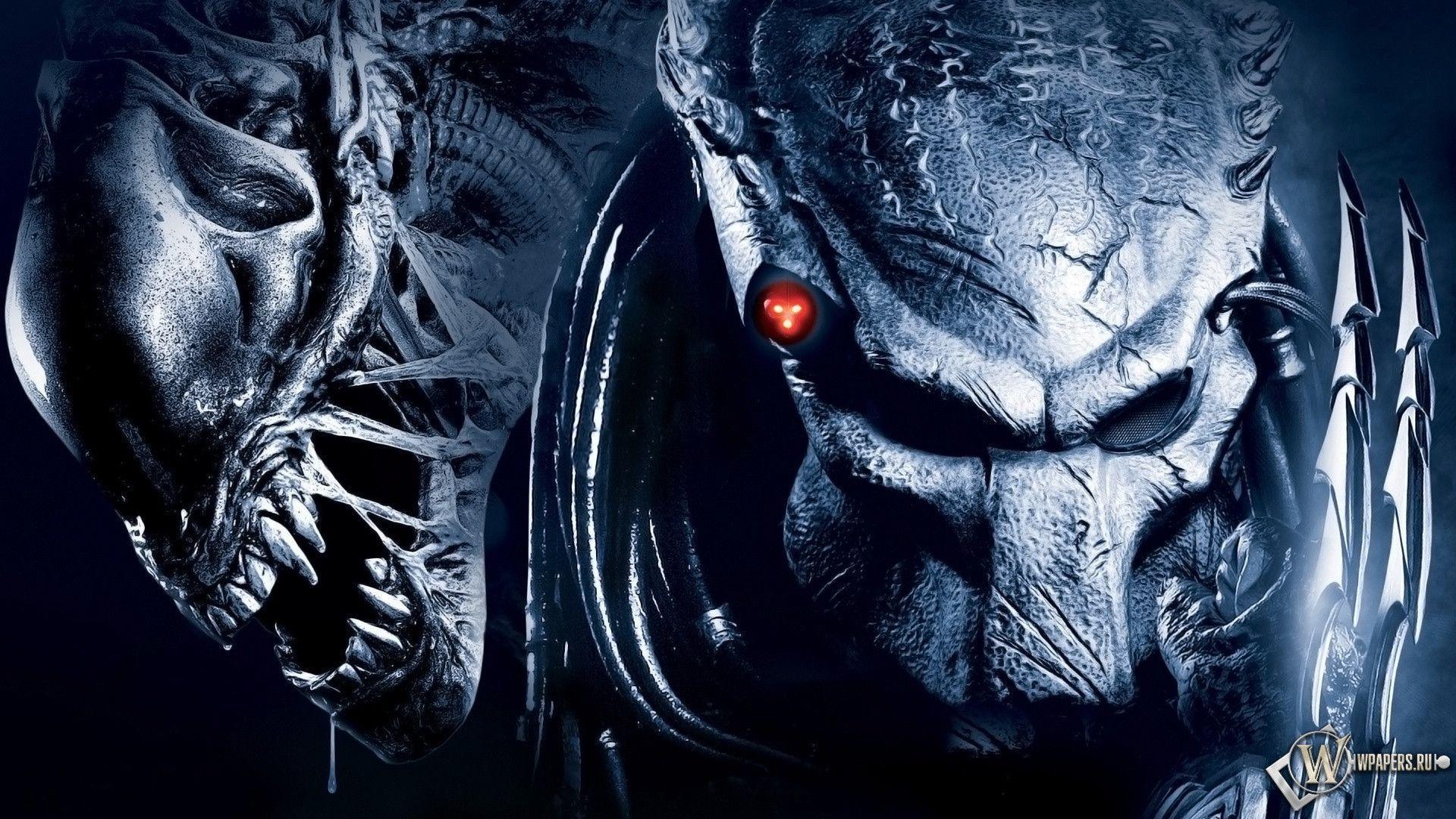 17 Alien Vs. Predator Wallpapers