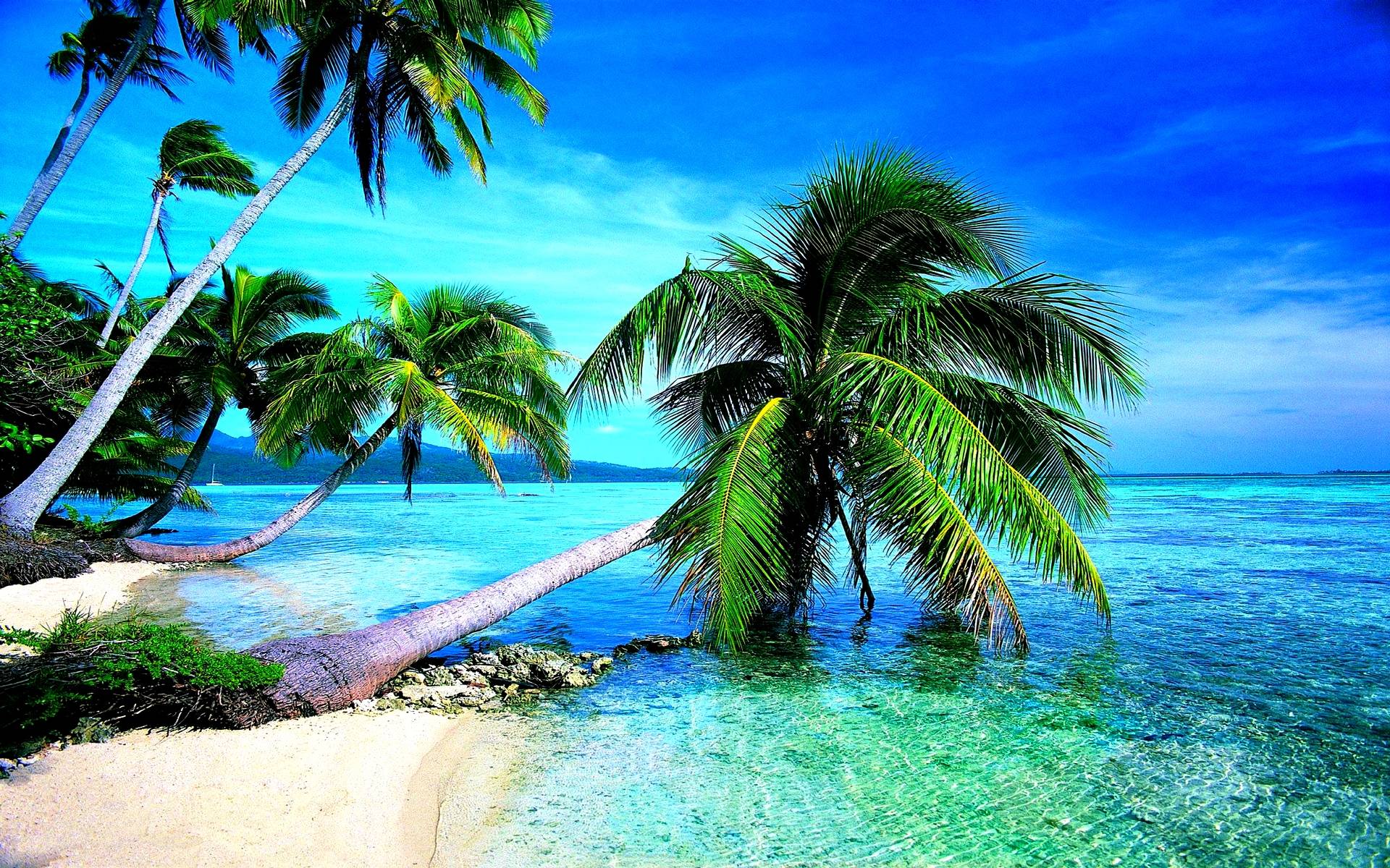 Tropical Beach Wallpapers