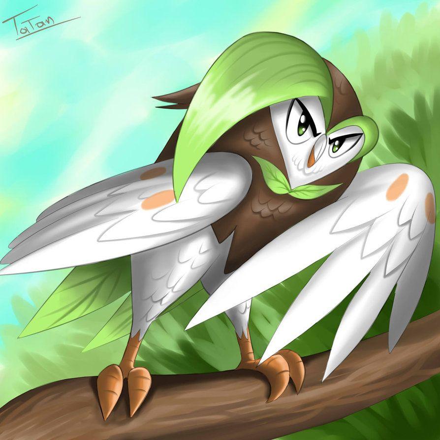 Dartrix Pokemon Sun Pokemon Moon by tatanRG