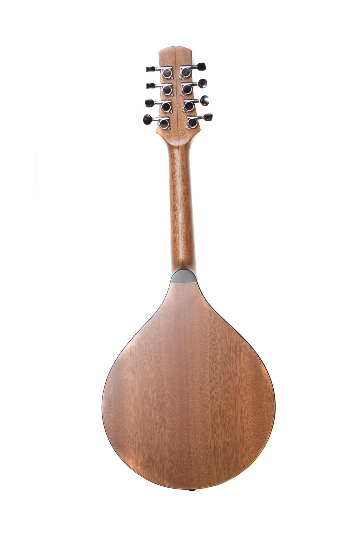 Celtic Mandolin