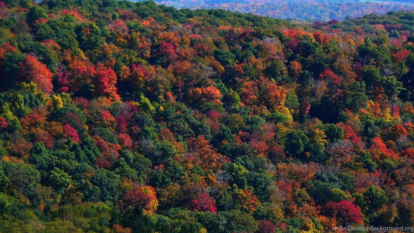 MLeWallpapers Appalachian Mountains In Fall Desktop Backgrounds