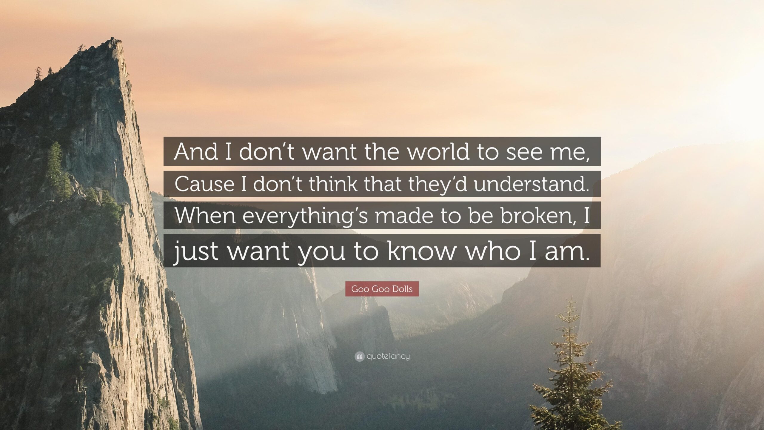 Goo Goo Dolls Quote: “And I don’t want the world to see me, Cause I