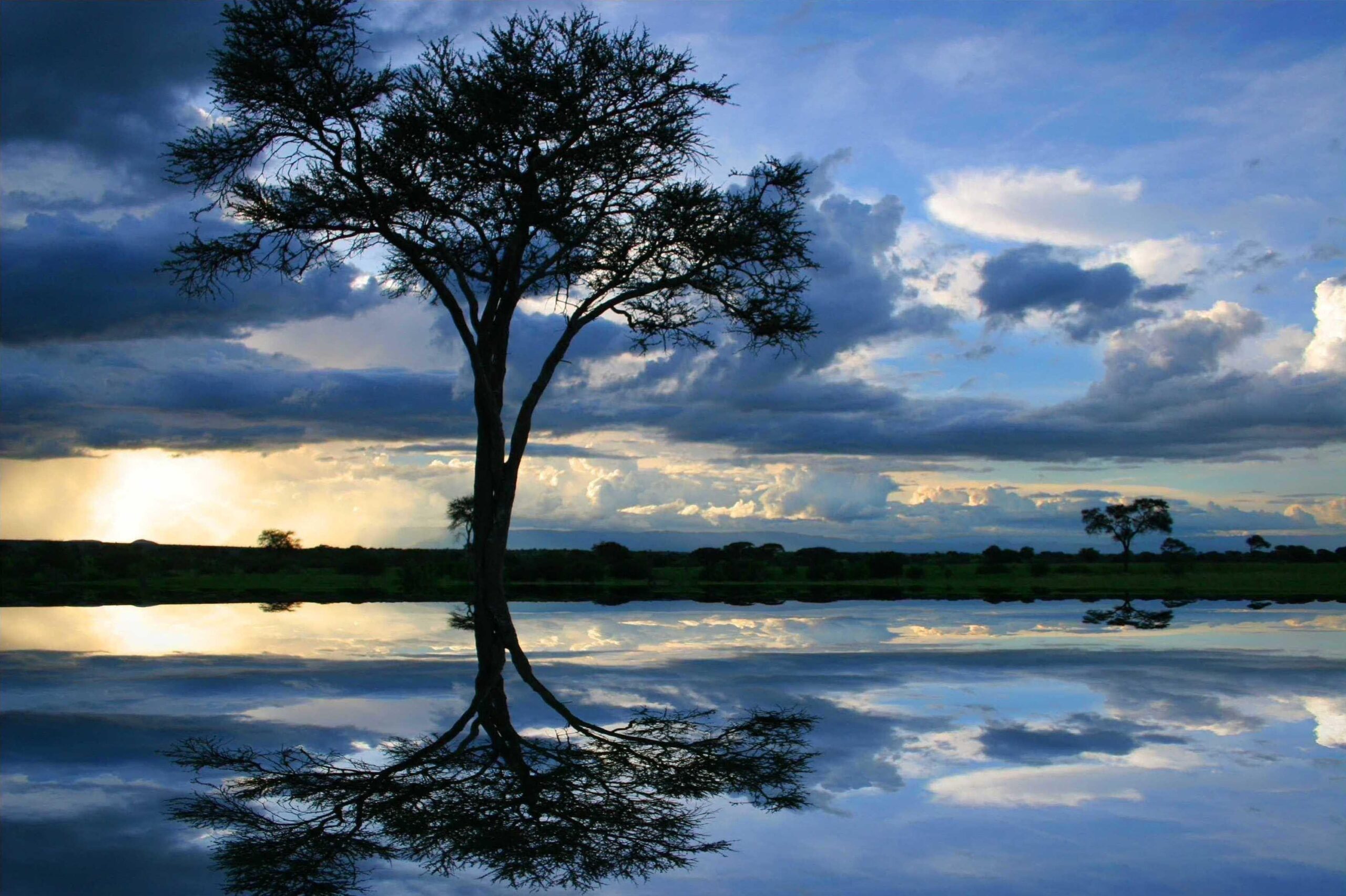 Lake: Africa Water Tanzania Blue Tree Landscape Lake Wallpapers