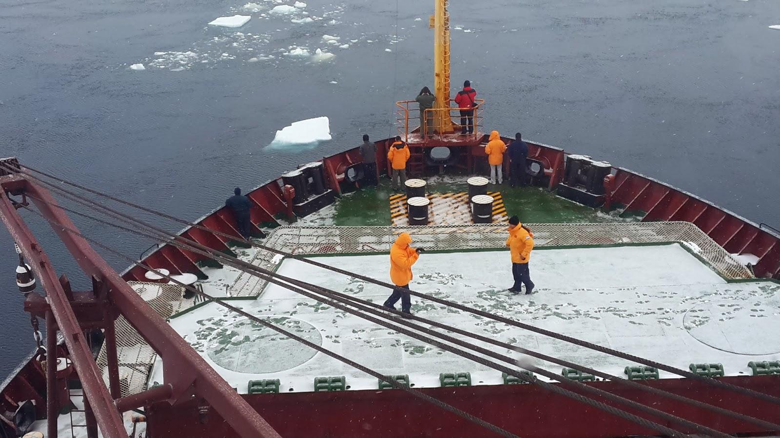 Tierra de Pingüinos: APROVISIONAMIENTO DE LA BASE BELGRANO II