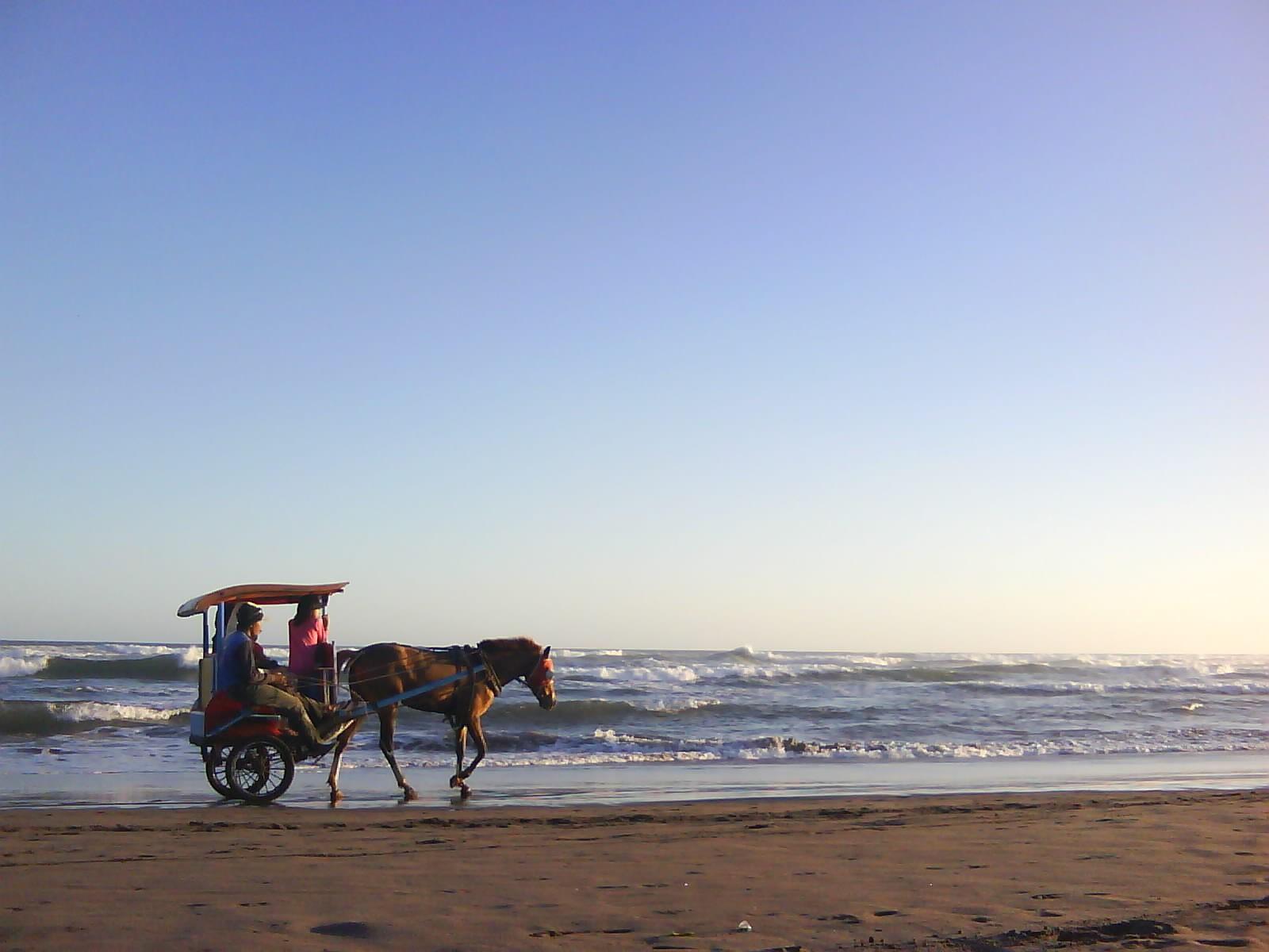 Beaches: Andong Tools Transportation Yogyakarta Tour Beach Indonesia