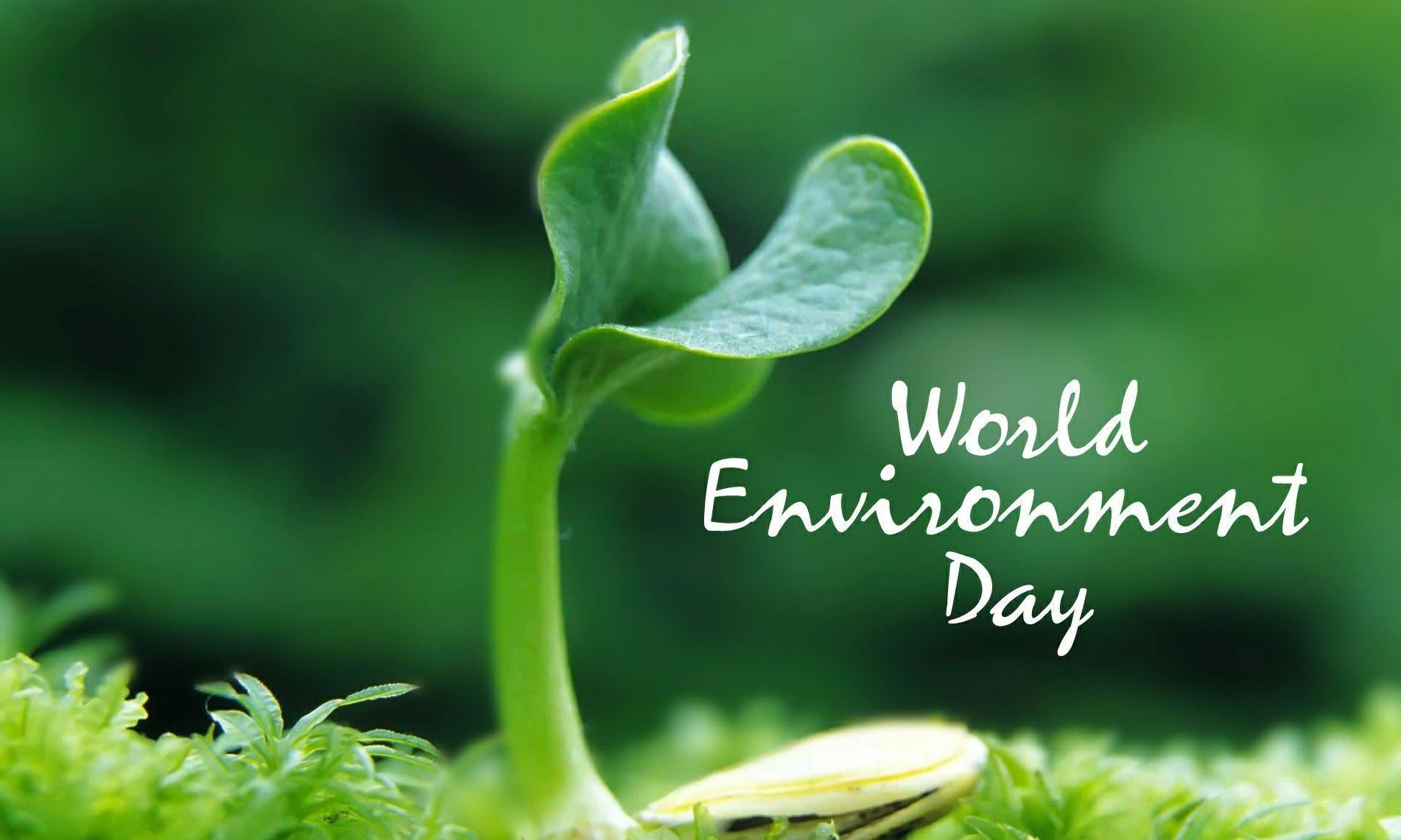 World Environment Day Hd Wallpapers