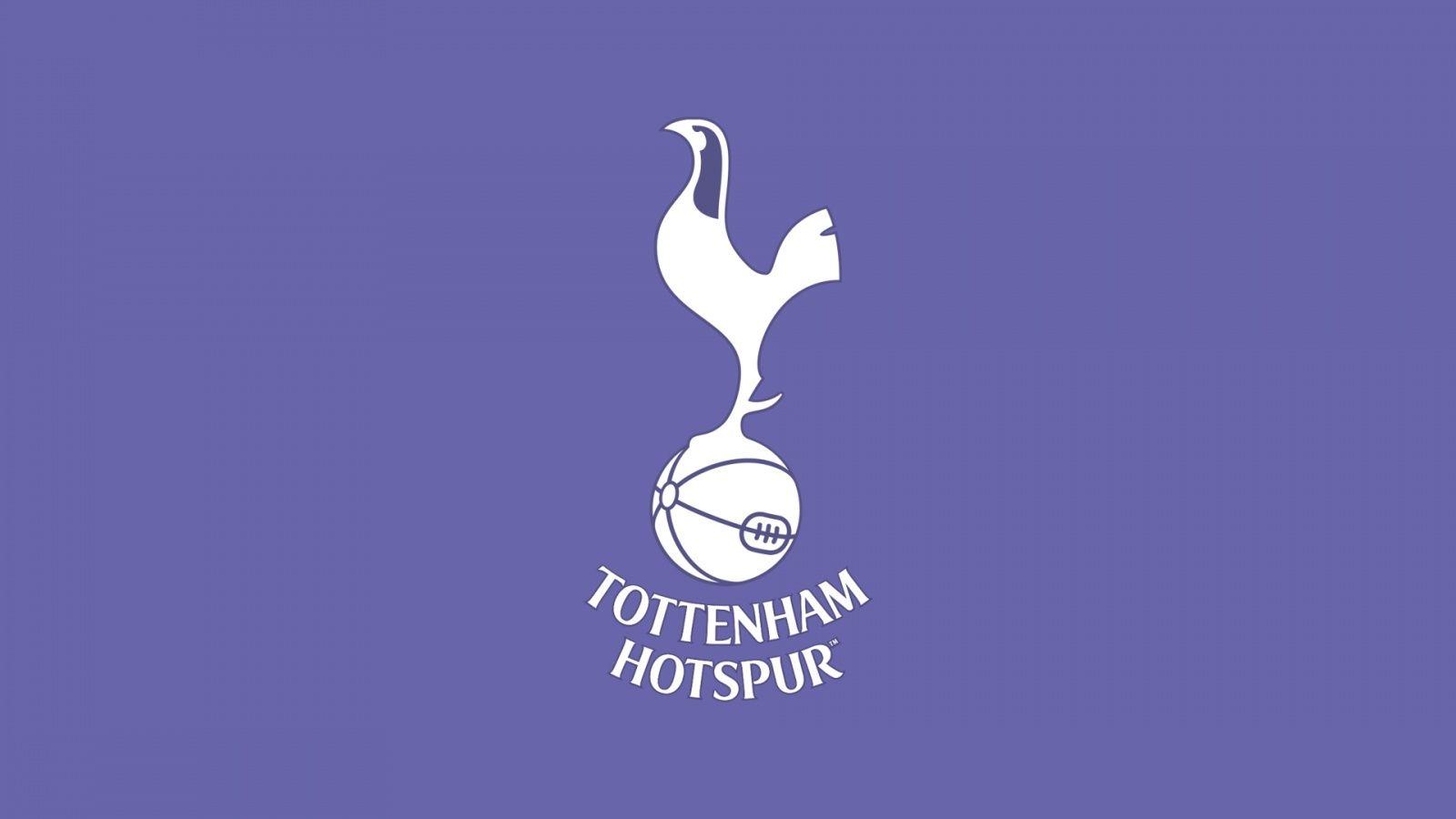 8 Tottenham Hotspur FC Desktop Wallpapers