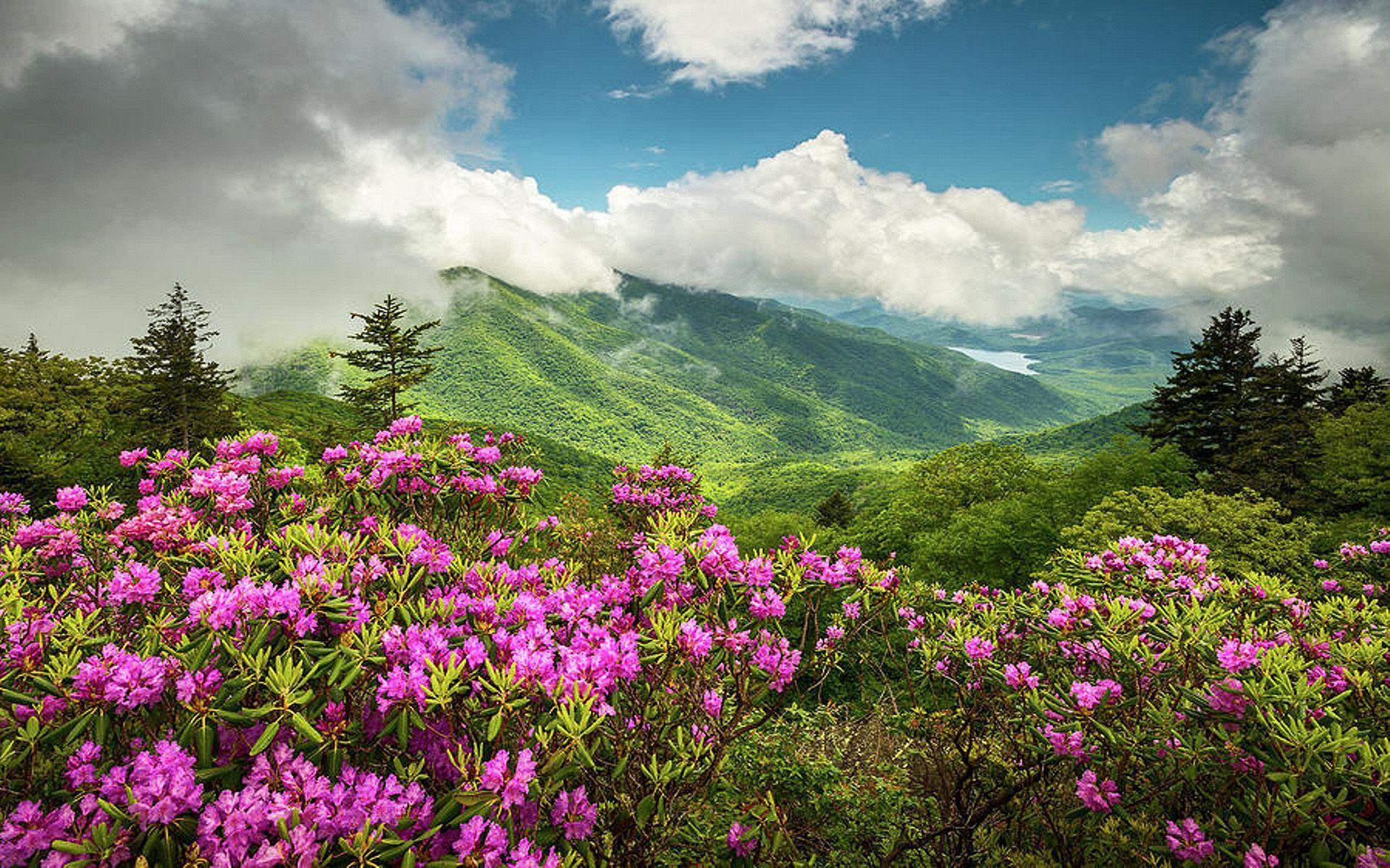 Blue Ridge Mountains Fall Wallpapers