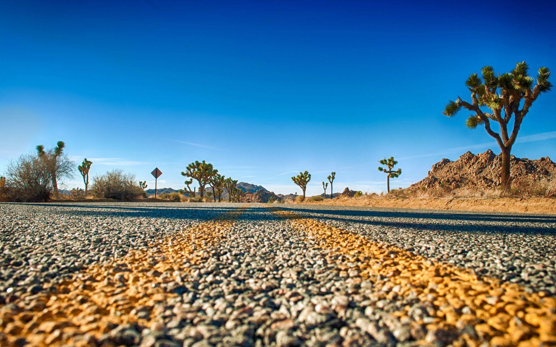 joshua tree national park road horizon HD wallpapers