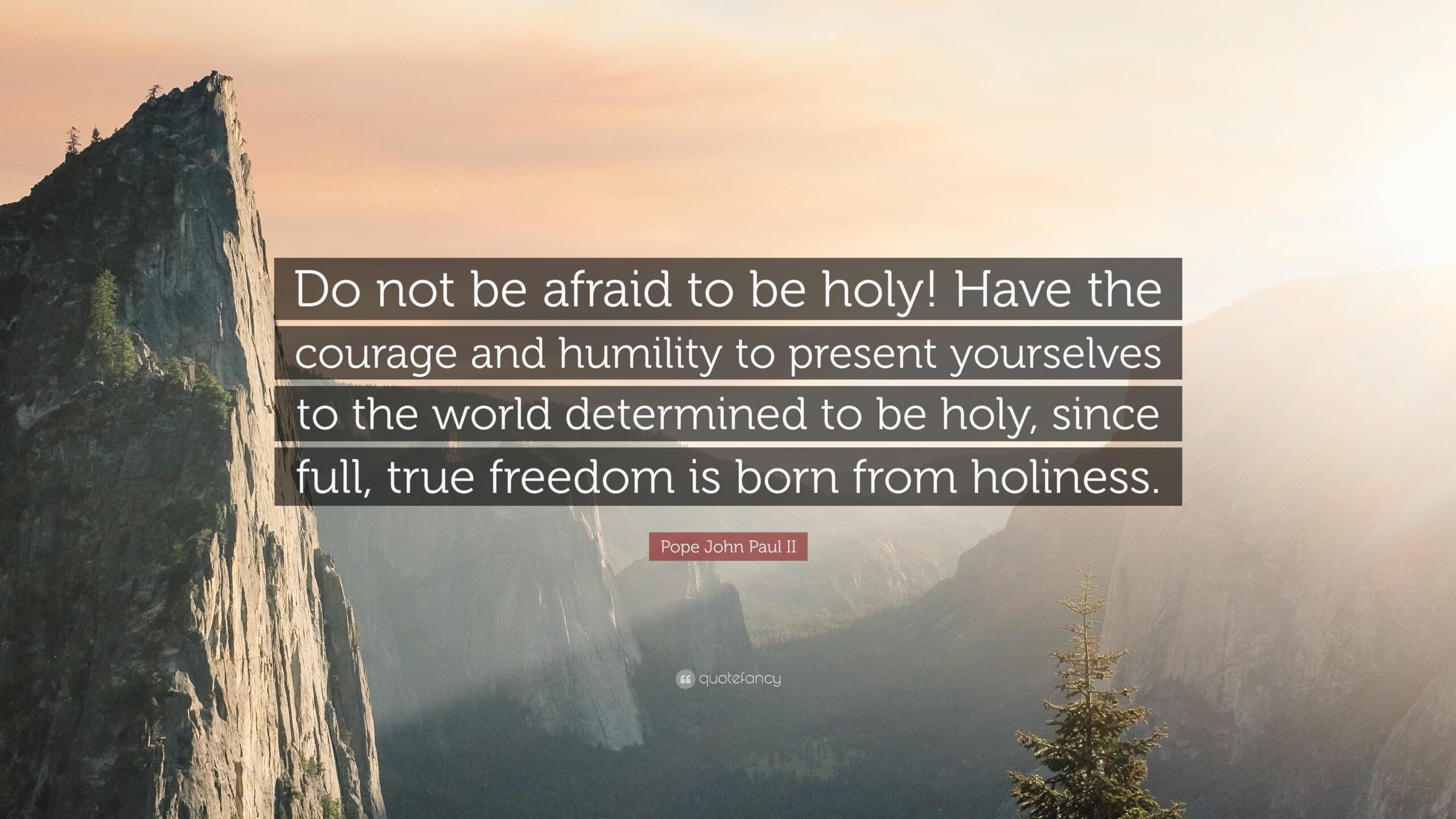 Pope John Paul II Quote: “Do not be afraid to be holy! Have the