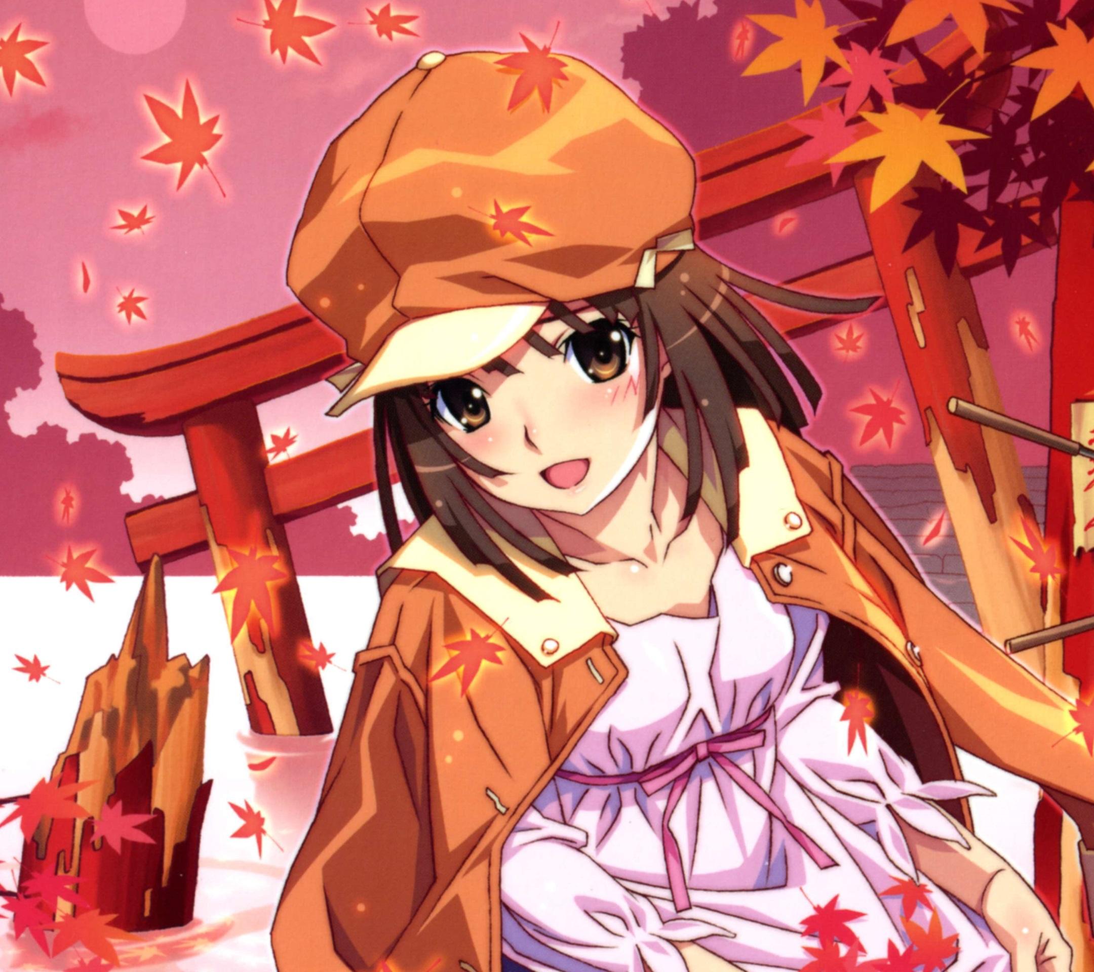 Monogatari.Nadeko Sengoku Android wallpaper.2160×1920