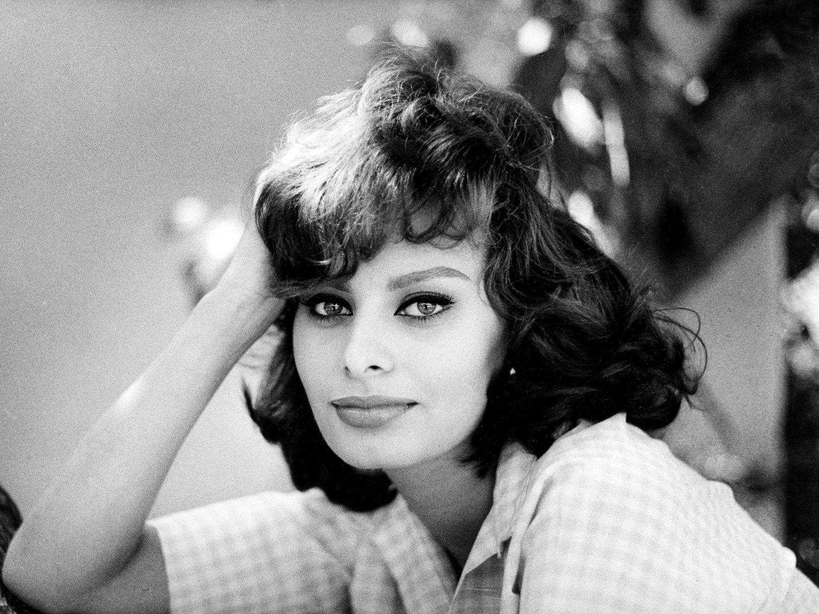 Sophia Loren Backgrounds HD Wallpapers Desktop Backgrounds