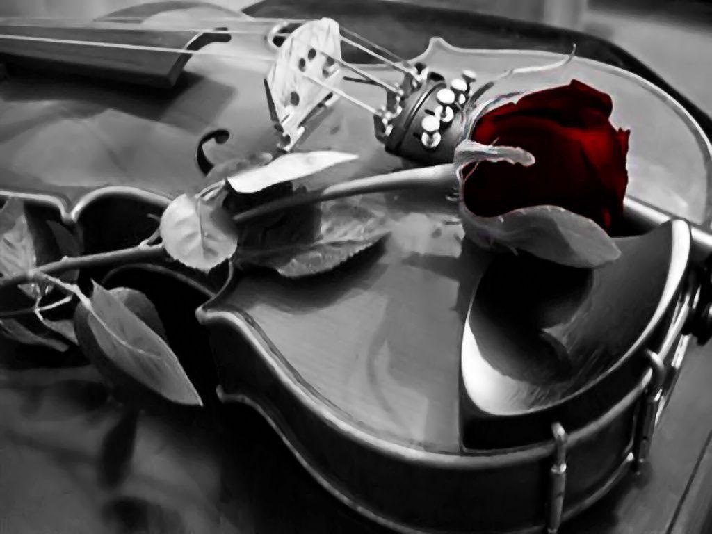 violin wallpaper smwjk2