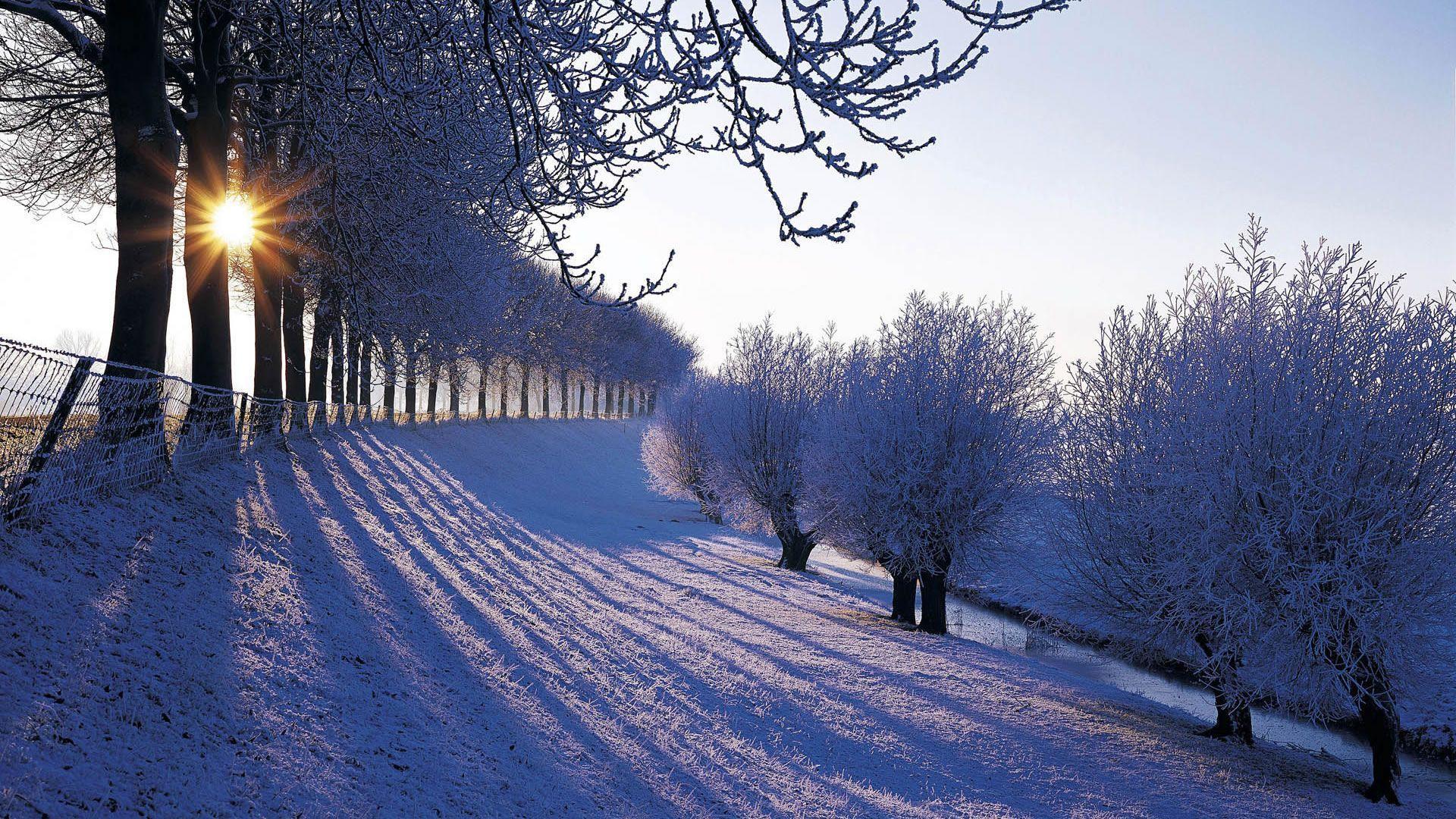 Winter Landscapes Winter Wallpapers For Iphone 5 , Free Widescreen