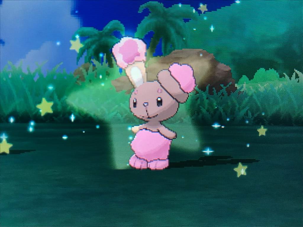 Shiny Buneary Via Sos!