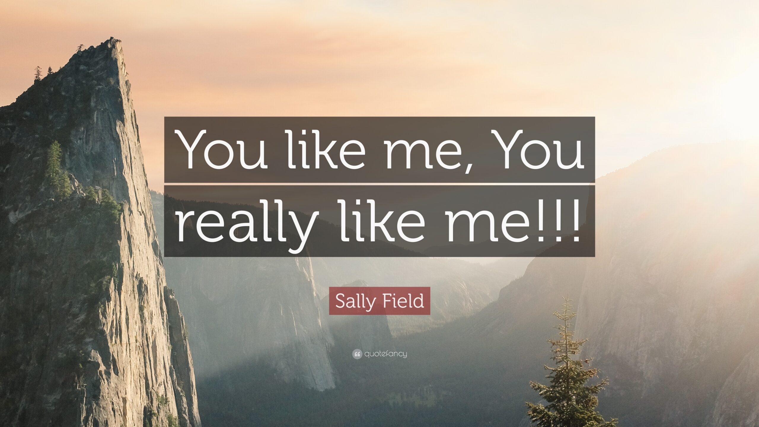 Sally Field Quotes