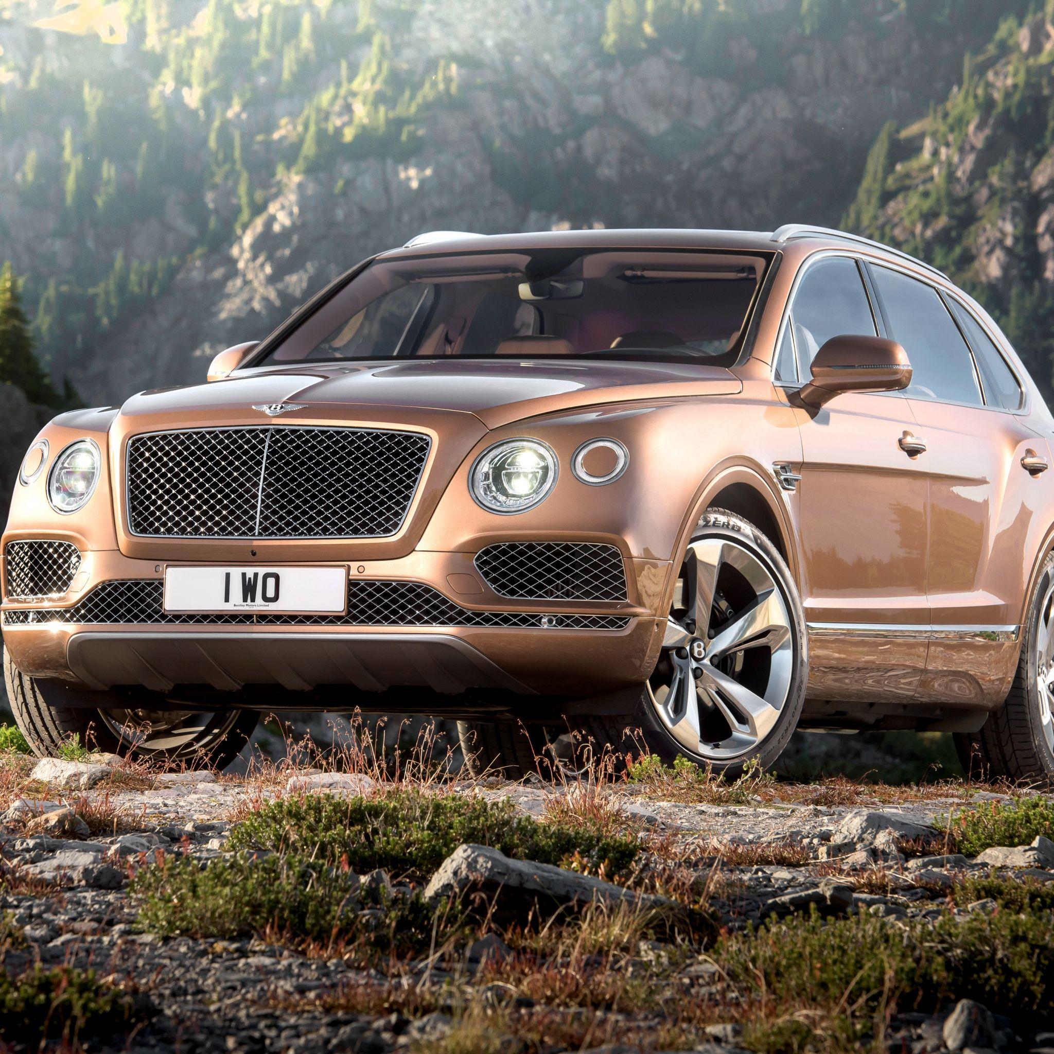 Download Wallpapers Bentley, Bentayga, Brown, Side view