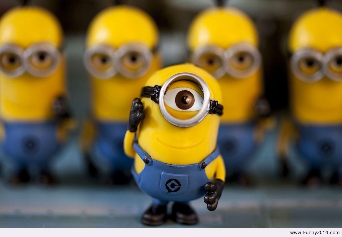 Minion Wallpapers 2014