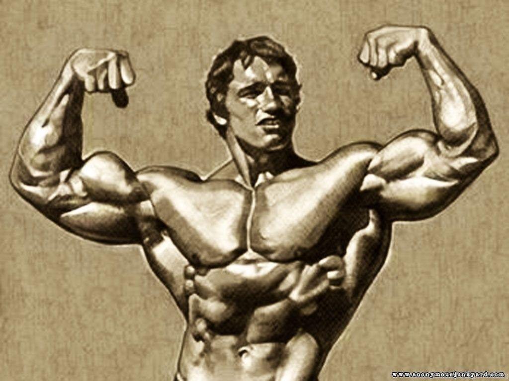 Kane Blog Picz: Arnold Schwarzenegger Wallpapers 1280 Desktop Backgrounds