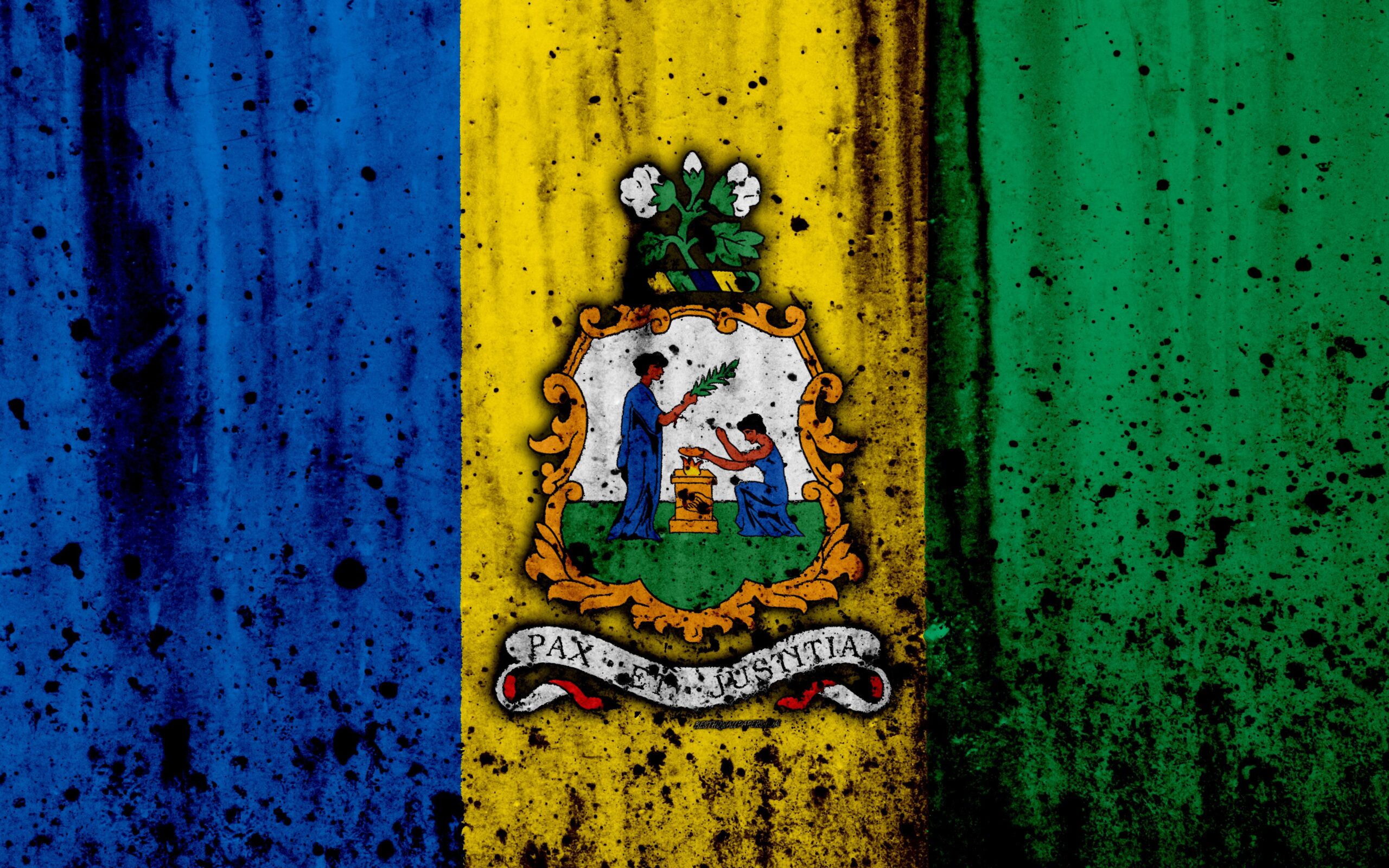 Download wallpapers Saint Vincent and the Grenadines flag, 4k