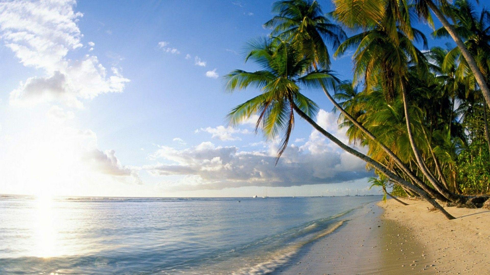 Trinidad And Tobago Seashore Wallpapers