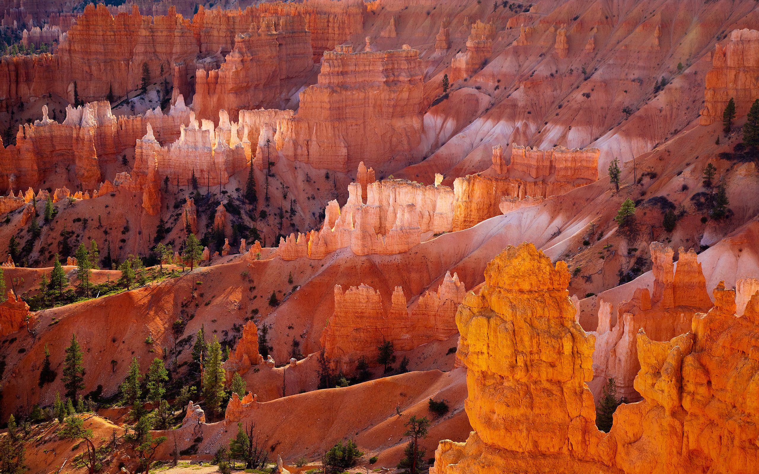 Wallpapers Bryce Canyon, Bryce Canyon National Park, Utah, HD