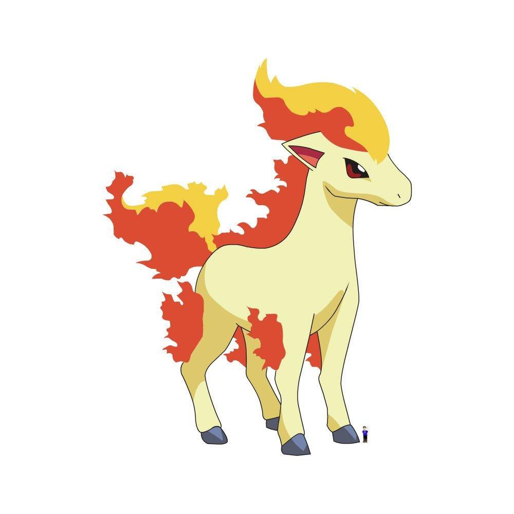 ponyta photos