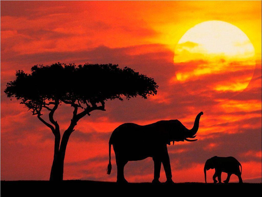 18+ Best HD Kenya Wallpapers