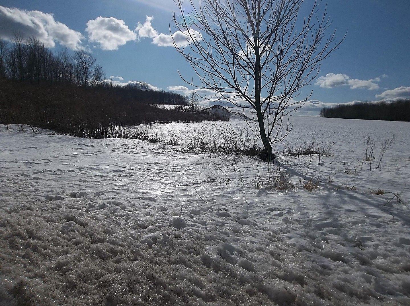 Winter Afternoon Industry Sky Snow Field Trees Maine Nature Hd