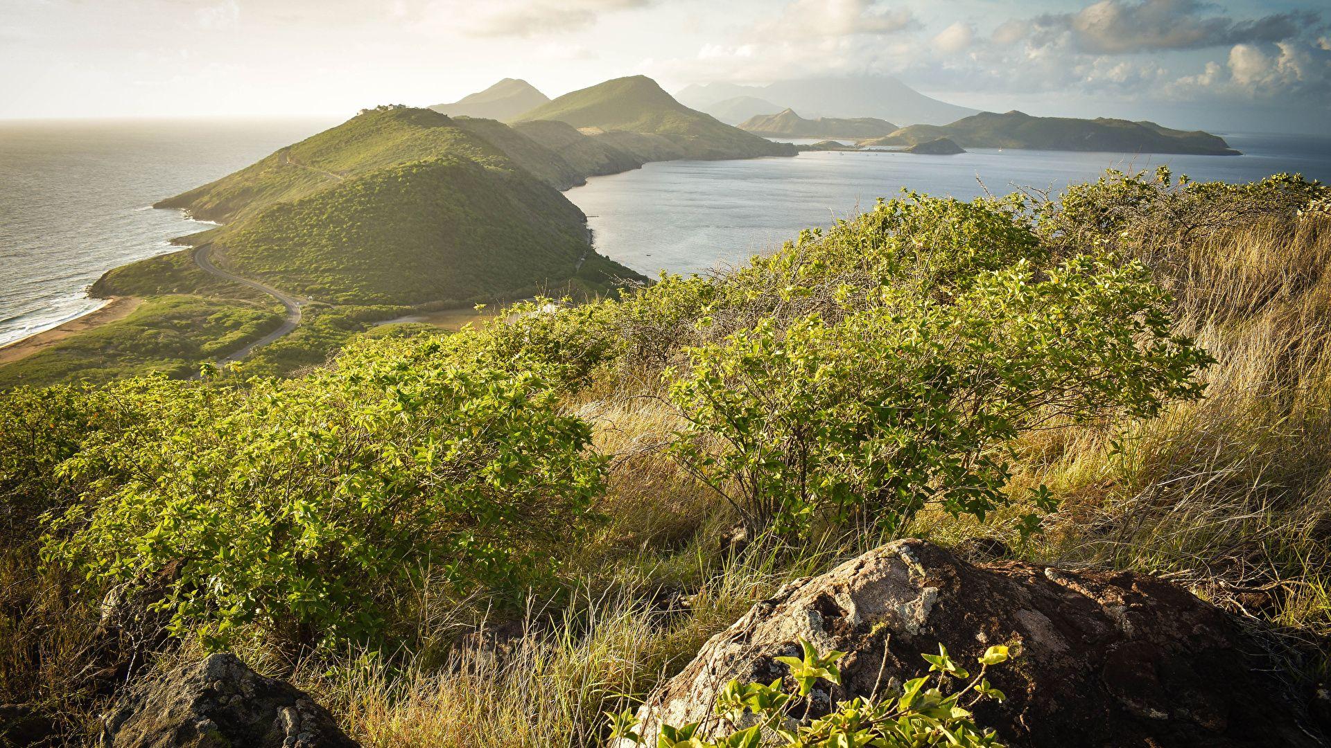 Wallpapers Saint Kitts and Nevis Caribbean Nature Hill