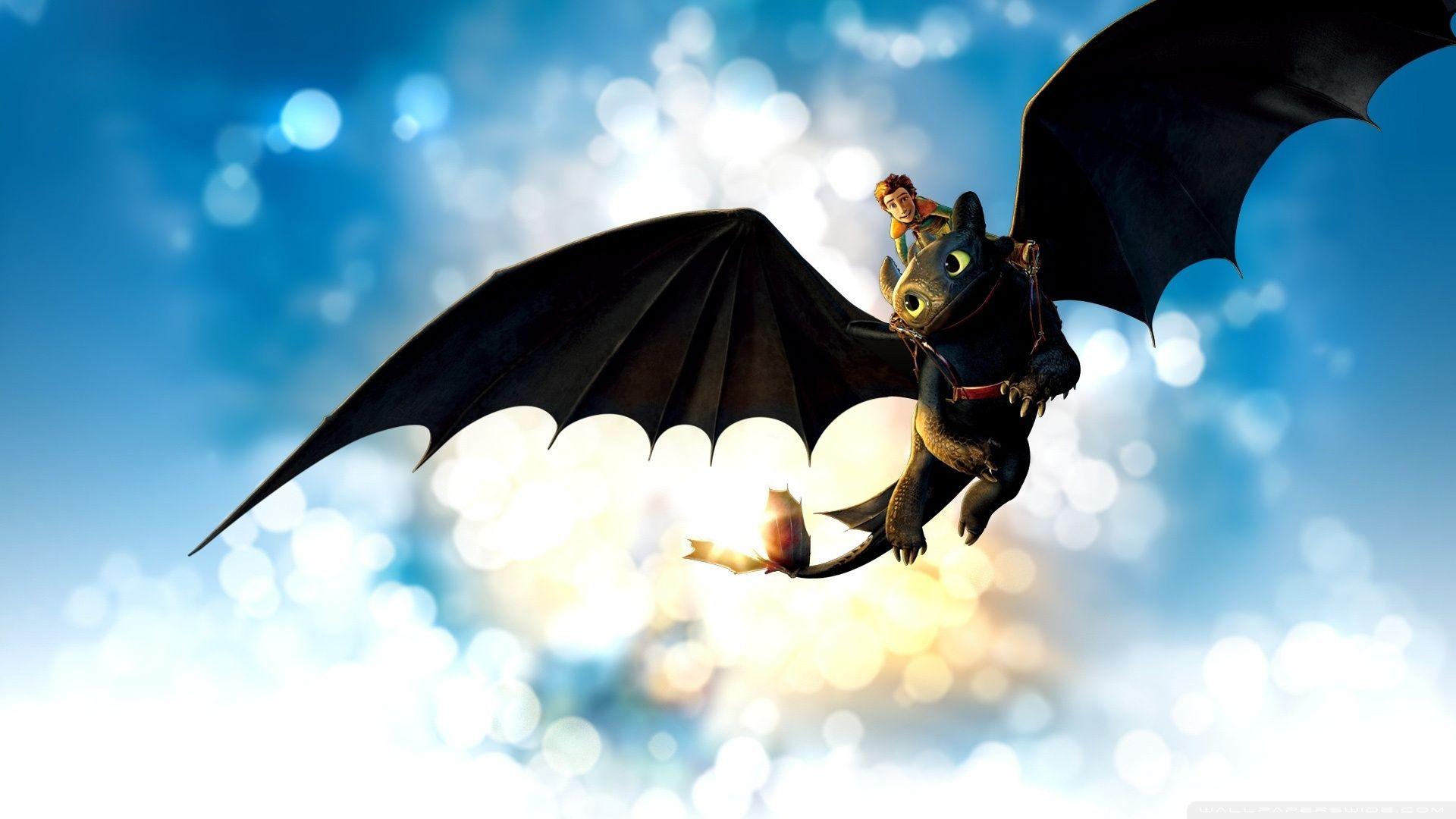 How to Train Your Dragon Movie HD desktop wallpapers : Widescreen