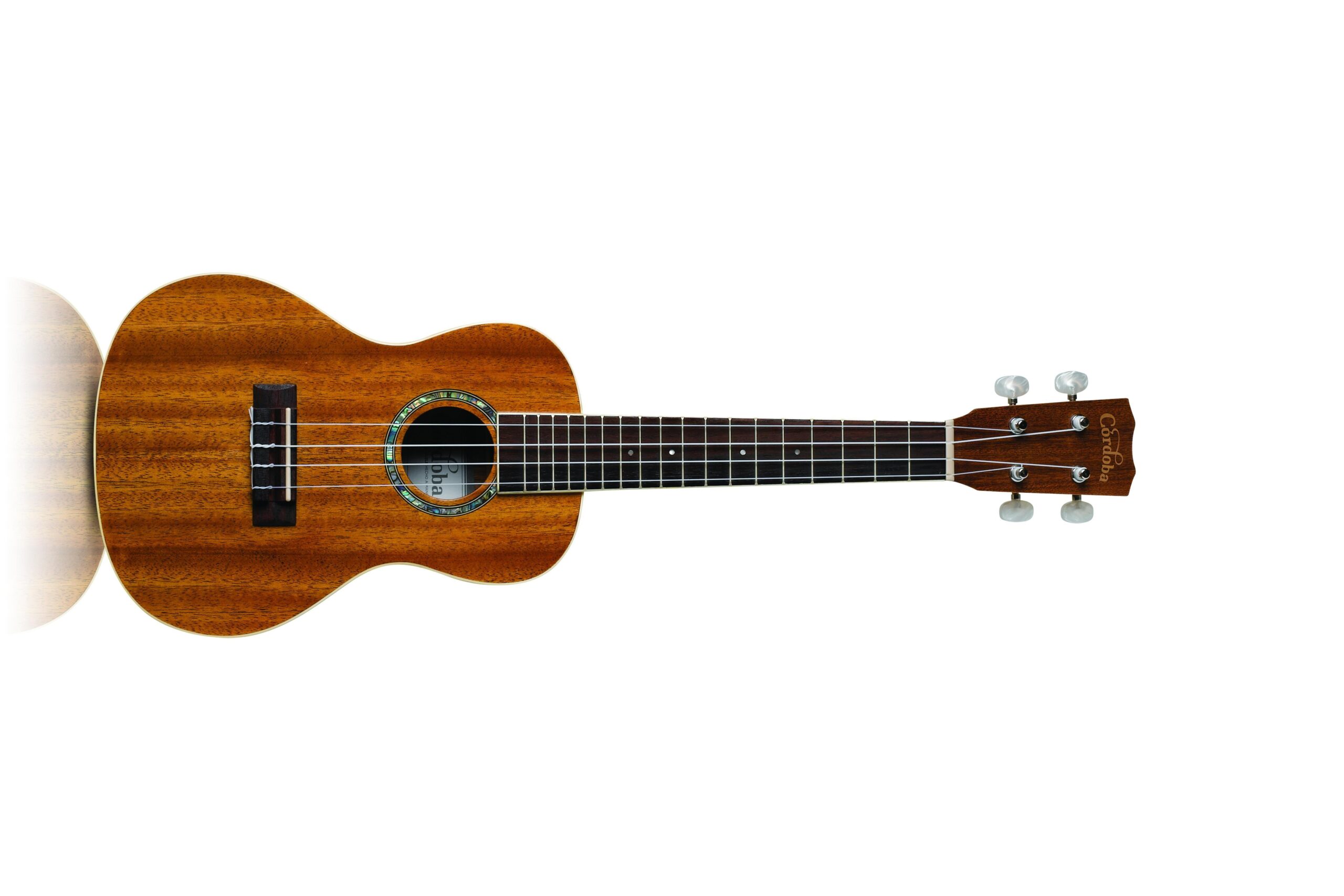 Unthinkable Image Of A Ukulele