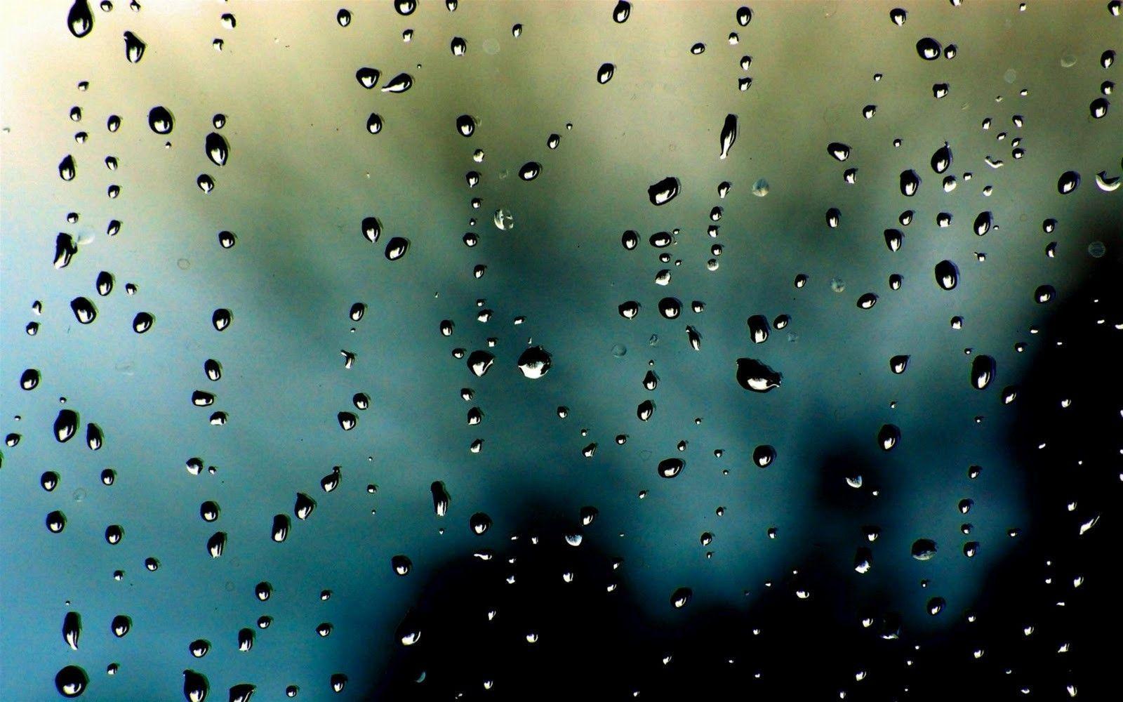 Rain Drops HD Wallpapers