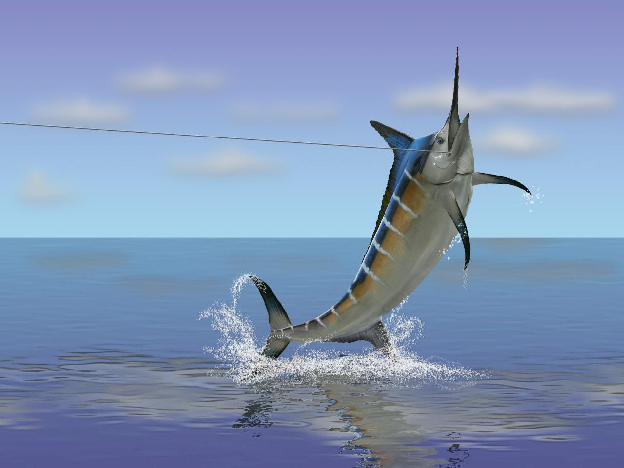 Best 43+ Swordfish Backgrounds on HipWallpapers