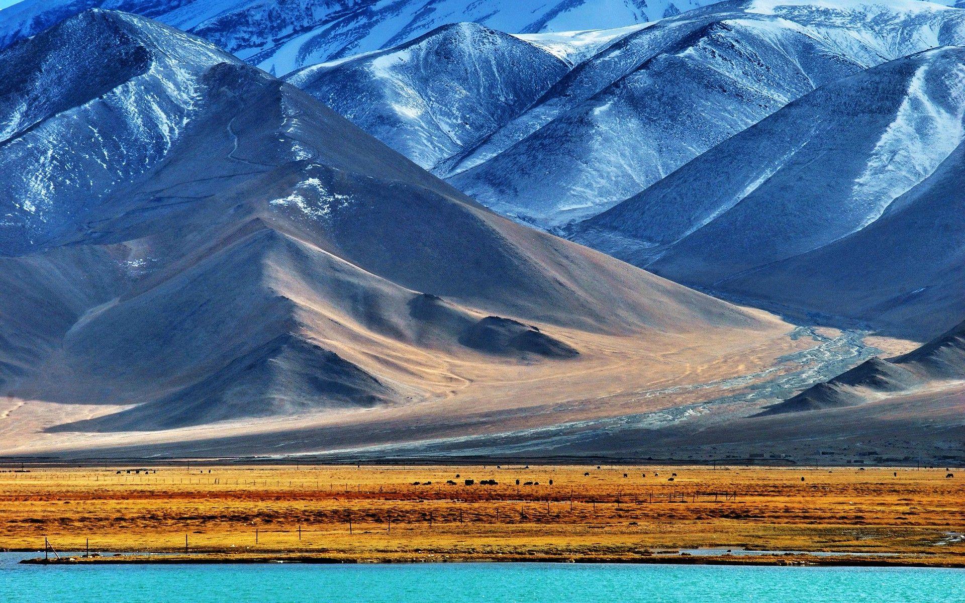 nature, Landscape, Mountain, Snow, Water, Lake, Snowy Peak, Field