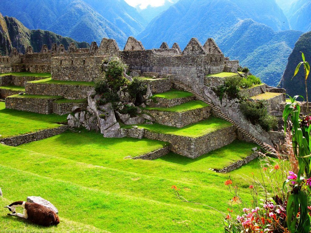 Machu Picchu image