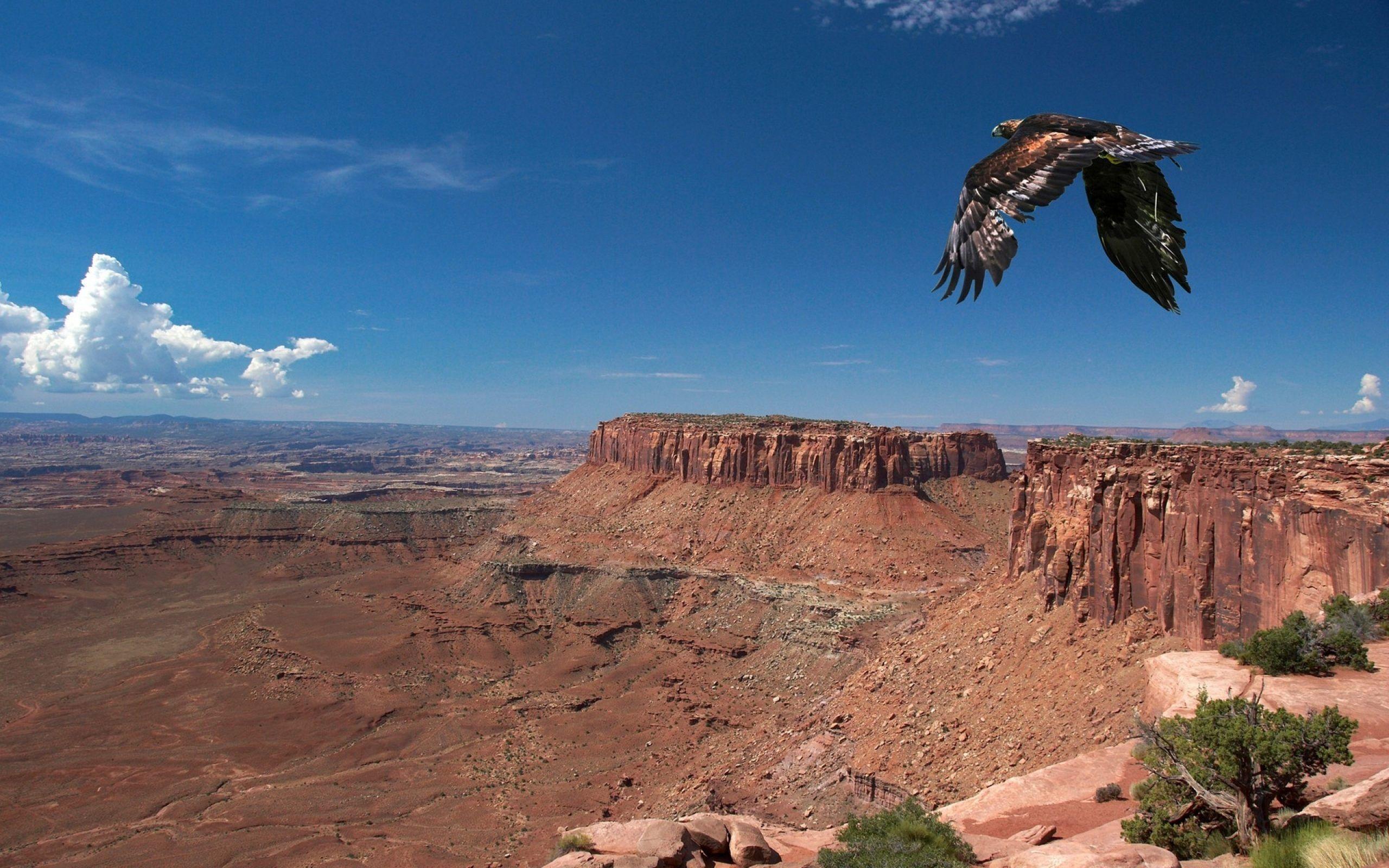 Grand Canyon Wallpaper, 38 Grand Canyon Android Compatible Pictures