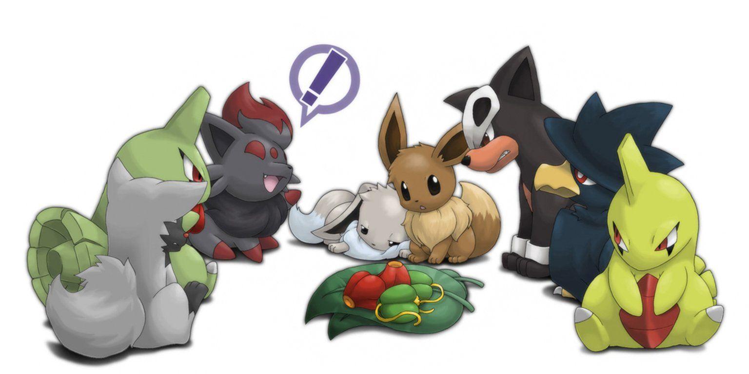 6 Zorua