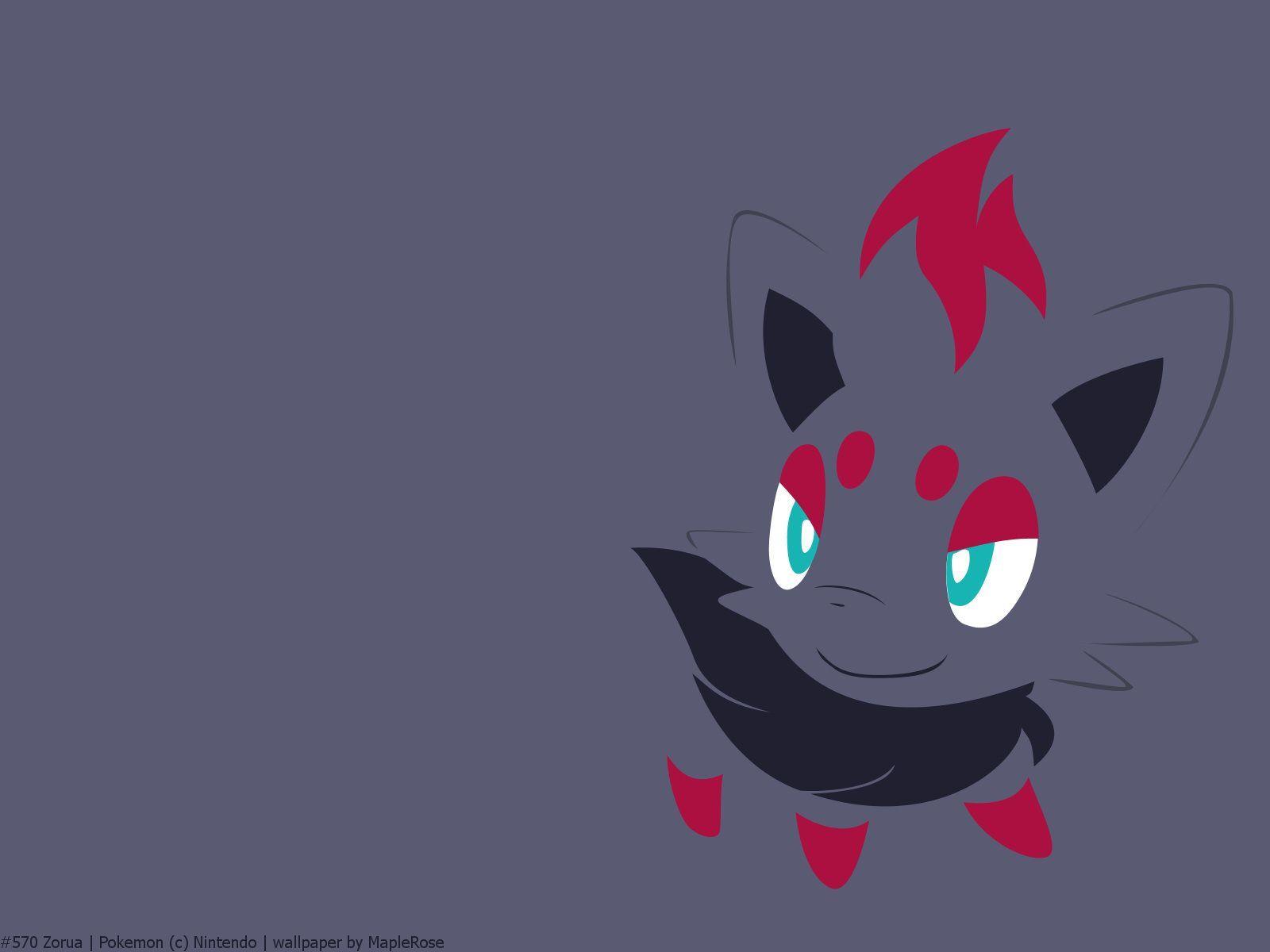 570 Zorua