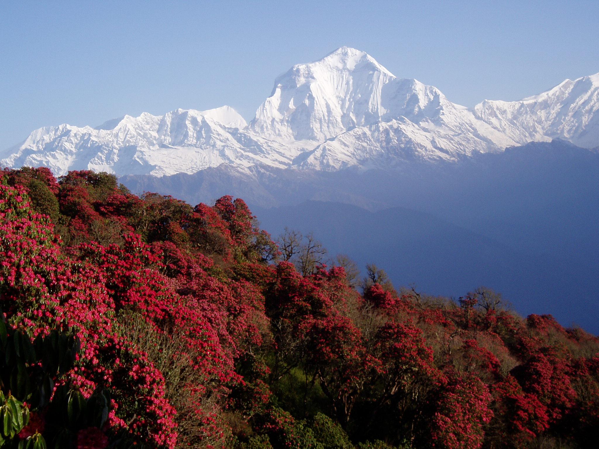 Nepal Wallpapers Desktop