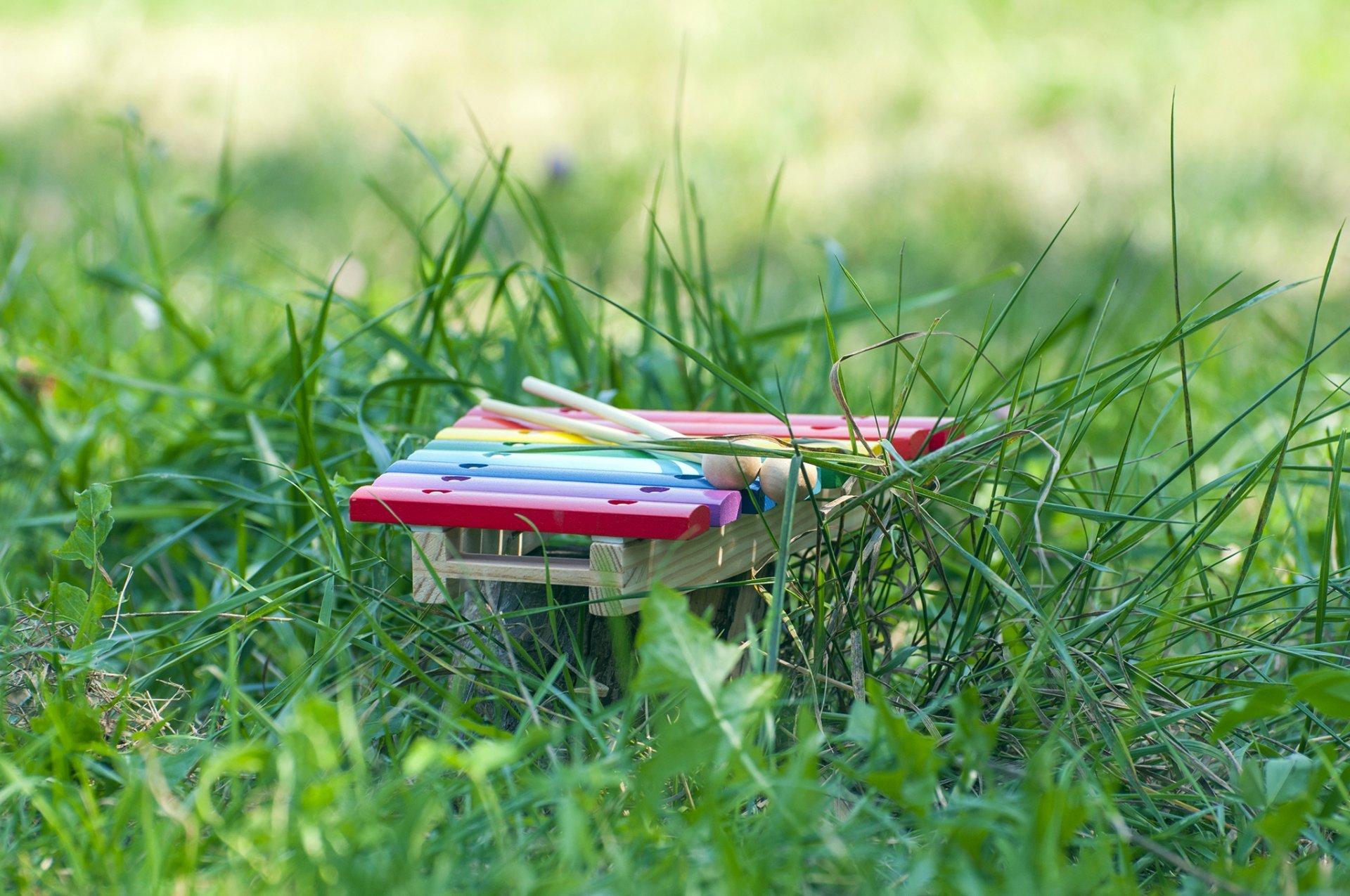 backgrounds grass close up tools marimba xylophone bars knockers HD