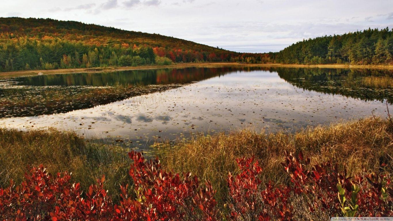 Breakneck Pond, Acadia National Park, Maine HD desktop wallpapers