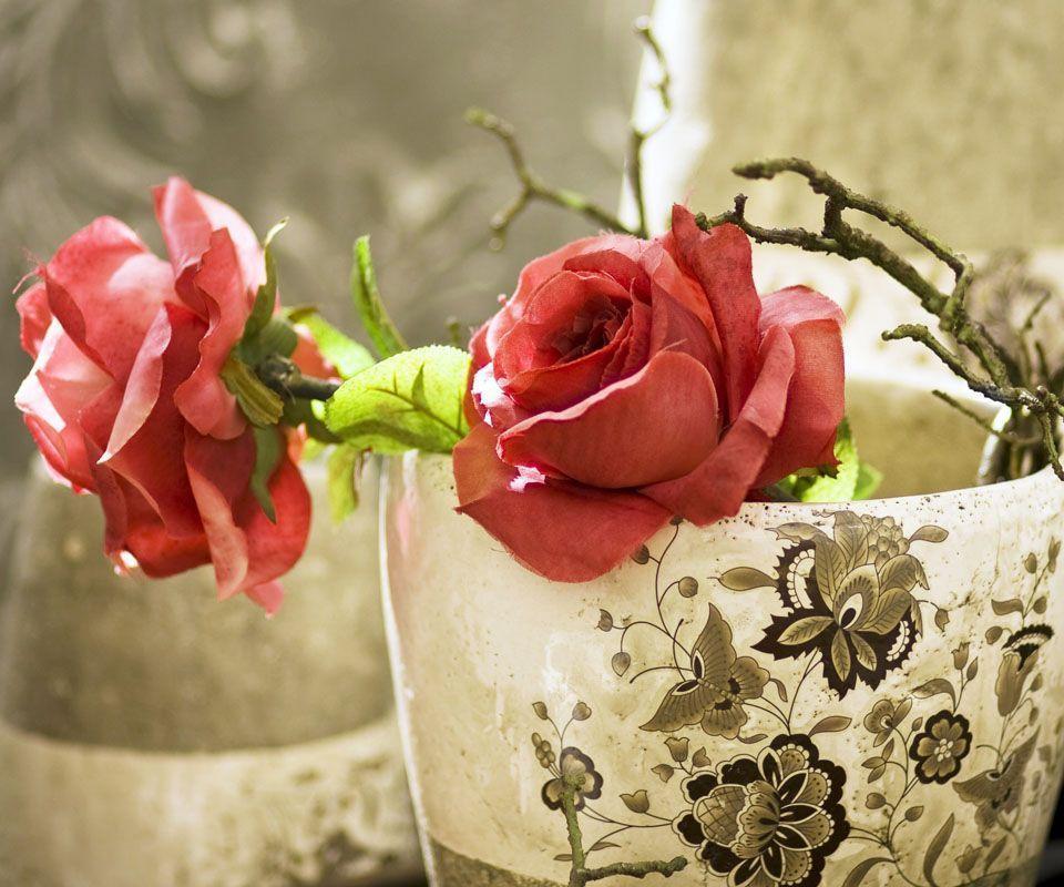 Red Roses Wallpapers Hd Wallpapers Flowers Wallpapers 2014