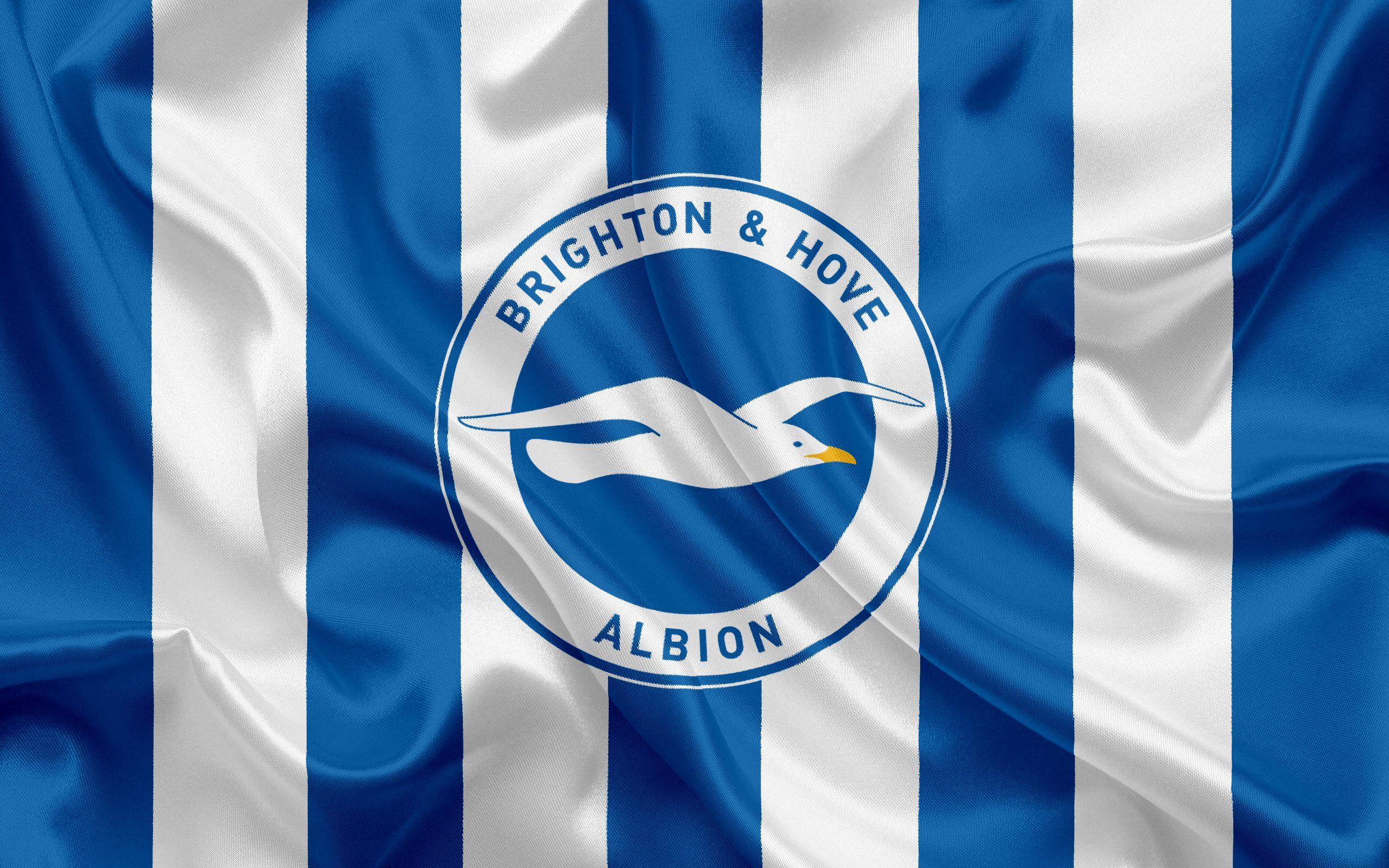 Download wallpapers Brighton Hove Albion, Football Club, Premier