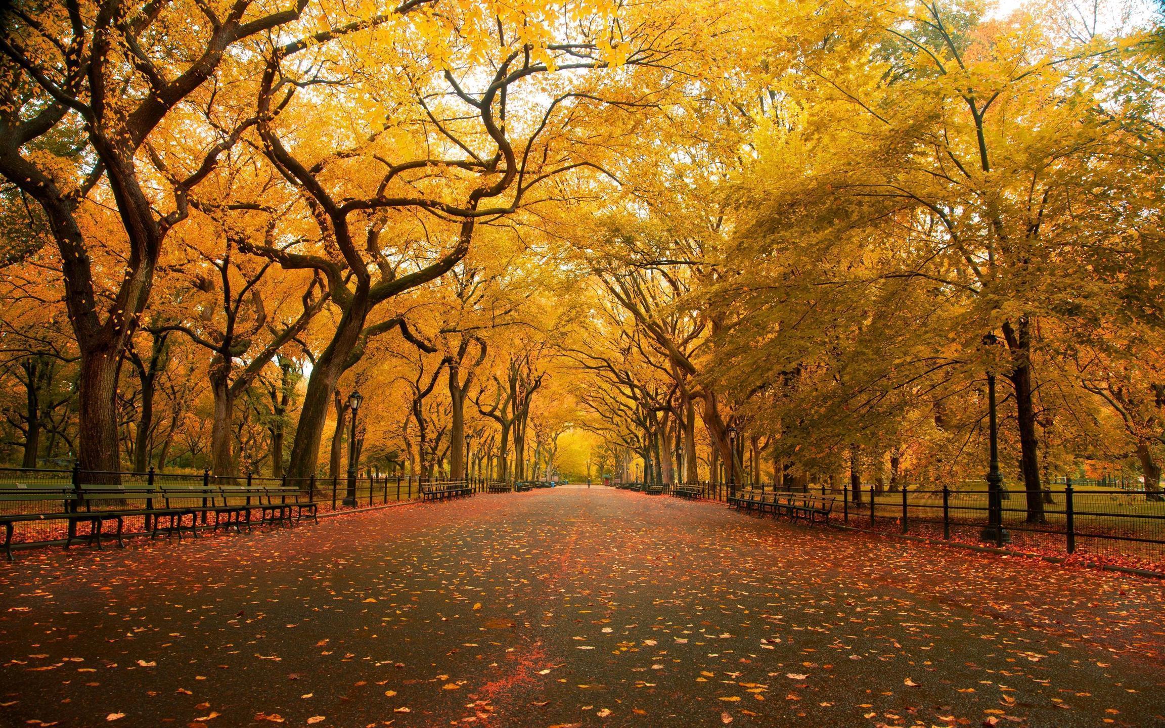 United States, New York, New York City, Central Park in the Fall