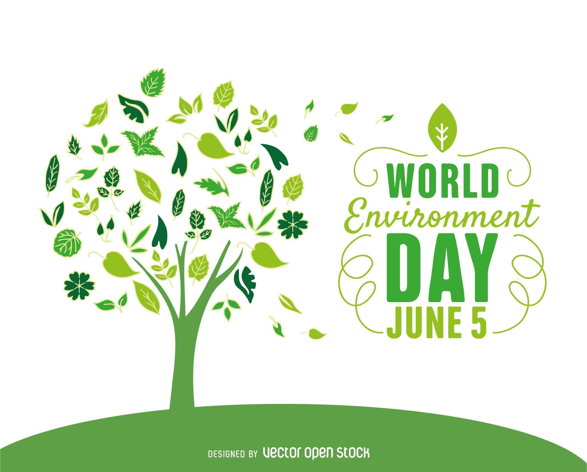 Celebration Of World Environment Day The Hope Foundation India