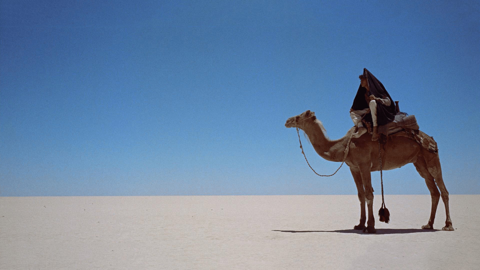 Lawrence of Arabia [] : wallpapers