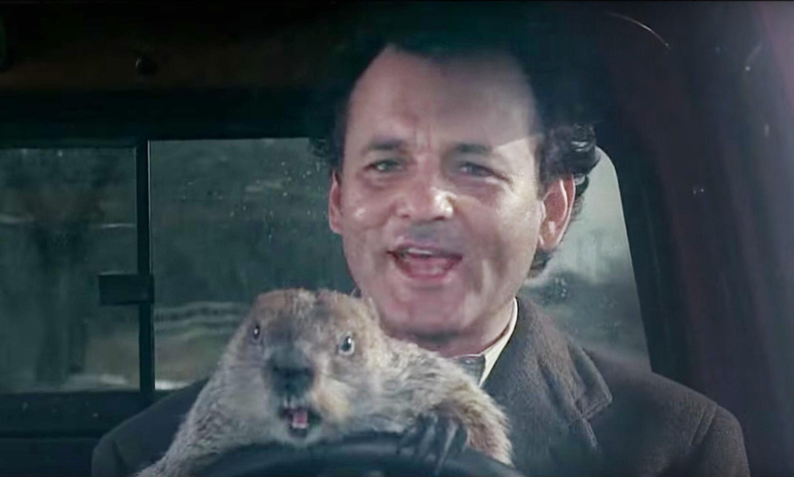 Groundhog Day Wallpapers High Quality